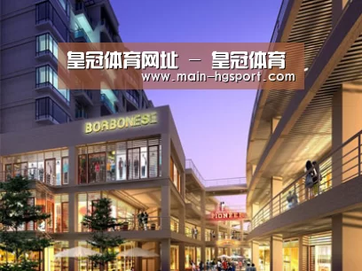 案例展示一(图1)