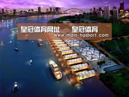 案例展示八