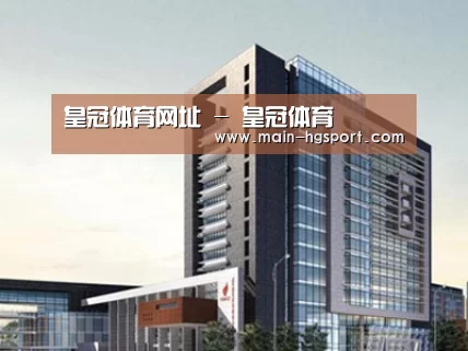 案例展示七