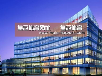 案例展示五