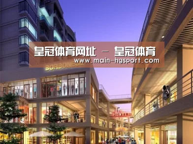 案例展示一