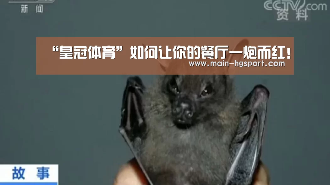 皇冠体育入口